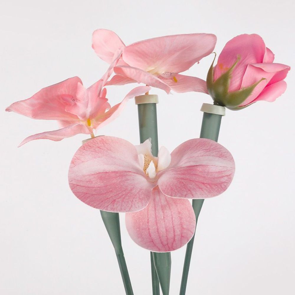 Florist Supply Shop - Çiçek Koruyucu Tüpler Şeffaf Plastik Şişeler